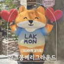 호랭이카 | 동탄 라크몽 아이랑 메리그라운드 방문 후기
