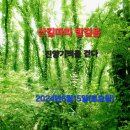 관동마을회관 이미지