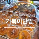 거북이 - 부산진구 | 빵지순례 일산 설문동 거북이단팥 후기