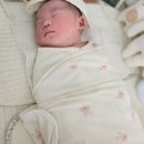 [0-30일] 0개월 신생아 키우기 역할분담 / 태열관리 / 첫만남이용권, 영아수당 / 탯줄도장 후기