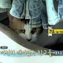 엠연우