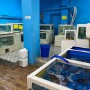 남해물회수산회 | [김천 맛집] 가성비 넘치는 횟집 &#39;남해물회수산회&#39;