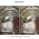 비밀의 화원 | 비밀의화원 아이폰스냅 계약후기, 밝은홀아이폰스냅 (내돈내산)