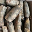 경산농장 이미지