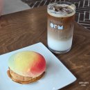 커피가게24호계럭키점 | 마산 대형카페 오도막베이커리카페, SNS에서 핫한 아그작 과일 무스 케이크 후기 근데 커피도 맛있는