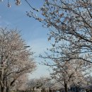 양구인문학박물관 | 강원 양구군 봄맞이 로컬 산책 Kwater 한국수자원공사 1 인문학 박물관
