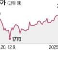 벌미용타운