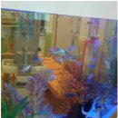 아이가좋아하는치과의원 이미지