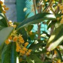 수원시 팔달구 팔달문로81번길 이미지