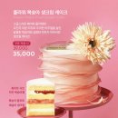 케이크요고 이미지
