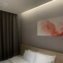 도미니클라바 이미지