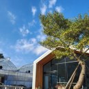 송한농장 이미지