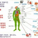 바디테라피 다룸 네이버블로그