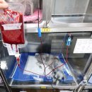 KABB 동물병원 이미지