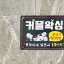 루체 대구왁싱&속눈썹펌 이미지