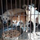 박완주농장 이미지