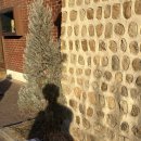 신화사 | 2월 3월 어중간한 어딘가에서.