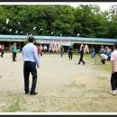 진도고등학교 이미지