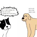 개밥도둑