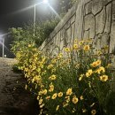 보라손세차 이미지