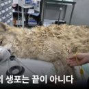 비봉사슴농장 동물보호시민단체 카라