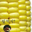 선형농장 이미지