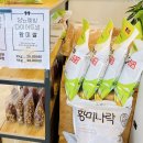 로송 이미지