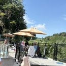 115 | [용인]조카 방학기념 문115 야외수영장 방문후기