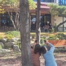 가호동13 이미지