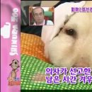 하이디