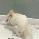 강구 산 아구 | 24년 8월