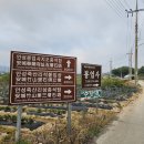 경기 안성 대한불교 태고종 호국미륵기도도량 비봉산 봉업사(飛鳳山 奉業寺) 이미지