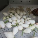 계촌 농장 이미지