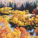 기쁨고속관광 이미지