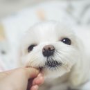 굿바이(GoodBuy) 이미지