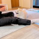 마롱스테이 이미지