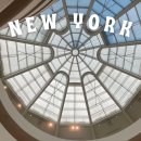 앉아서 떠나는 건축과 미술 여행 | 미국 뉴욕 여행 코스 구겐하임미술관 입장료 가격 무료입장 건축가 센트럴파크 명소