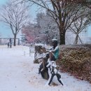 한림PC | [한림대학교 2026학년도 신입 한리머들을 위한 기숙사 가이드 (EP.2 남녀 공용 학생생활관 1관·3...