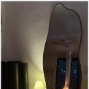 수원-0737 이미지