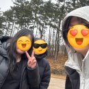 소길동백