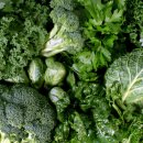 덴마크보청기 이미지