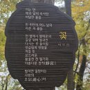 금광