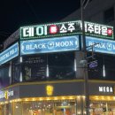 여수 학동 혼술하기 좋은 칵테일바 블랙문 후기~!