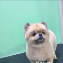 가위공쥬 이미지