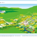 중앙4길 이미지