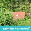 숲속 이미지