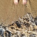 금두식당 이미지