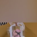 더제이엠티