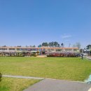 대마초등학교 이미지