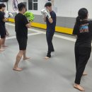 팀크로우 MMA 이미지